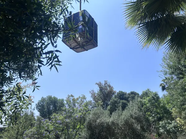 A condenser on the crane above the trees