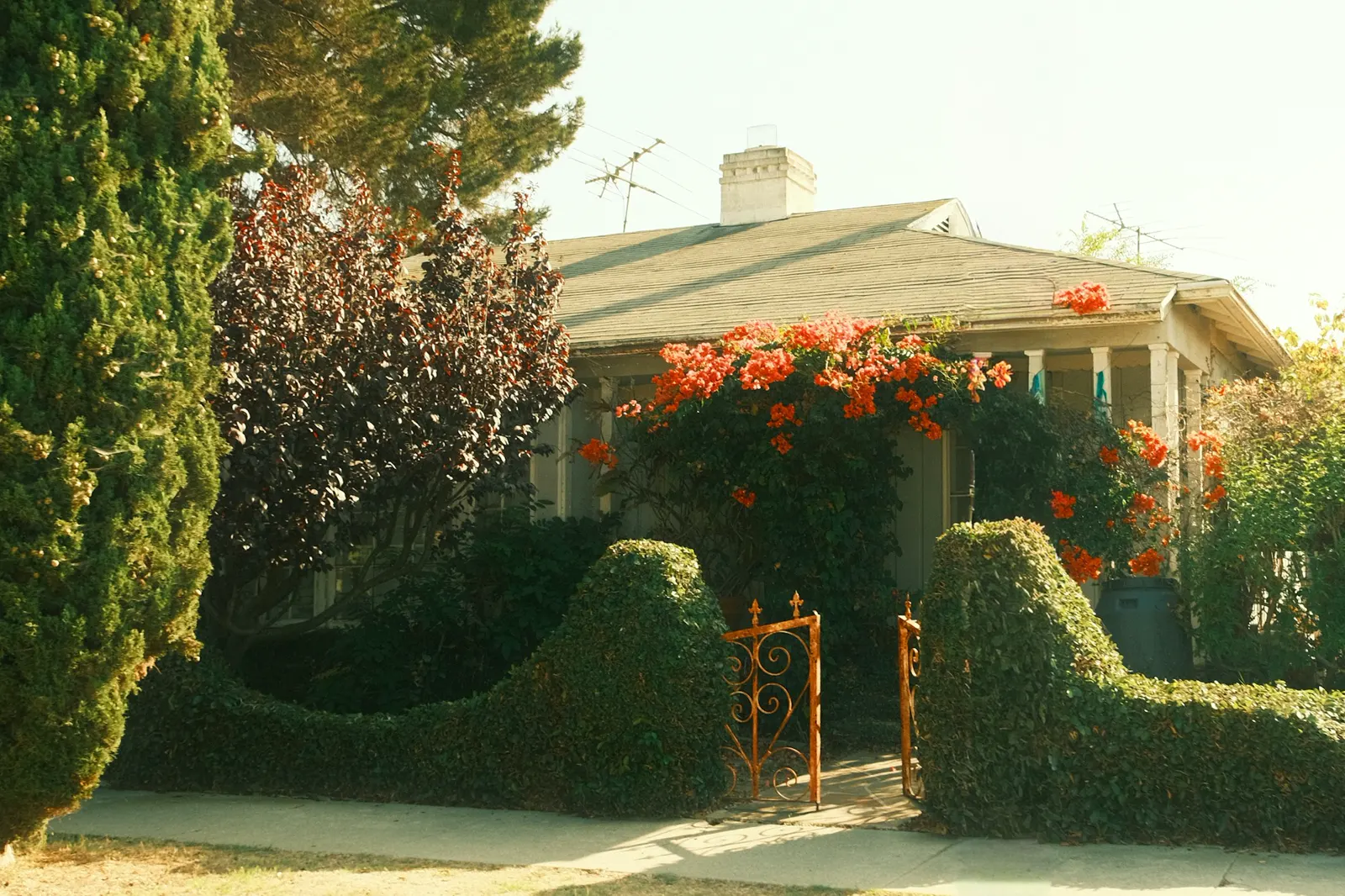 A charming house with blooming red flowers and orange flowers