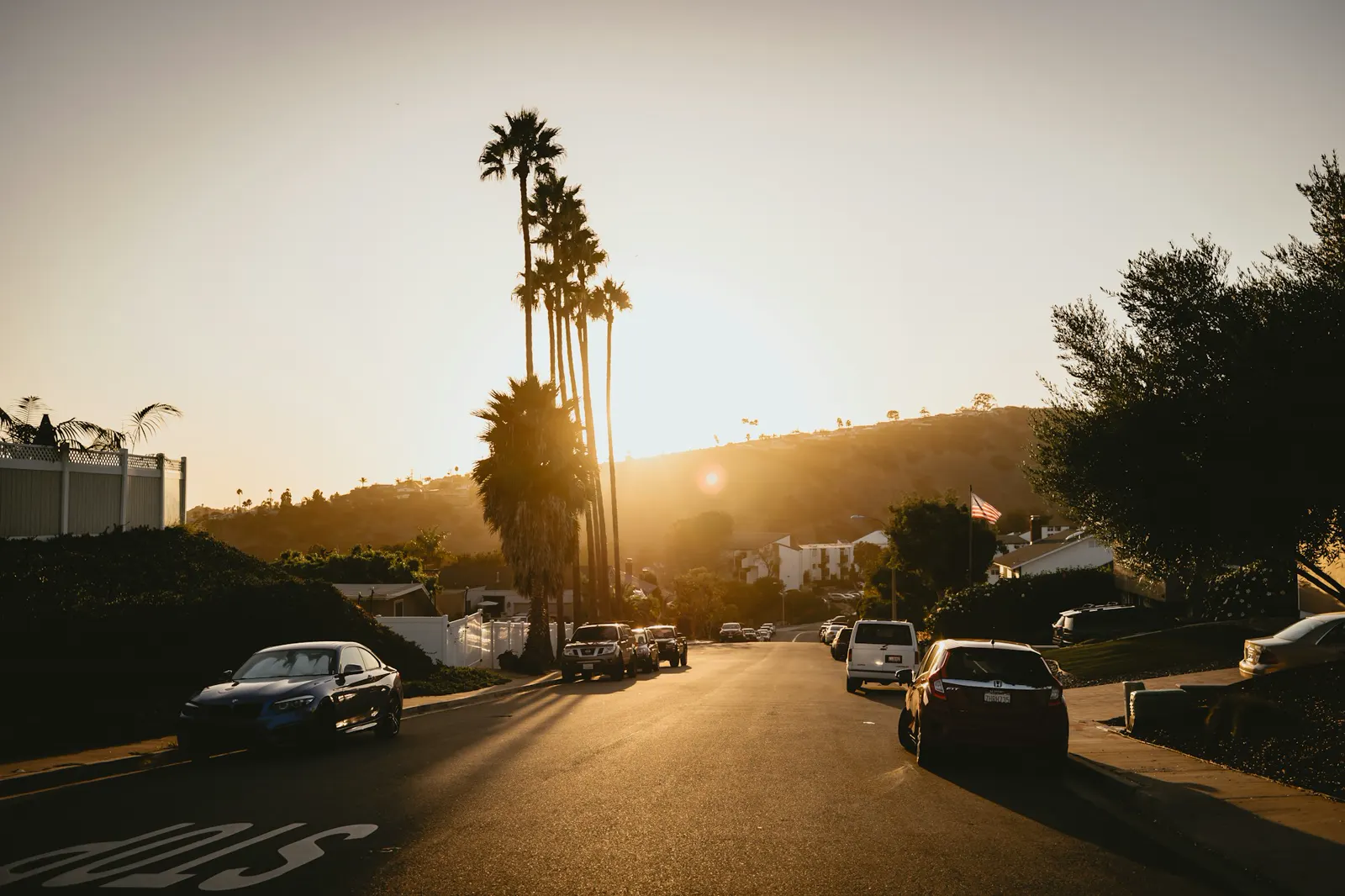 Palm trees line a street at sunset