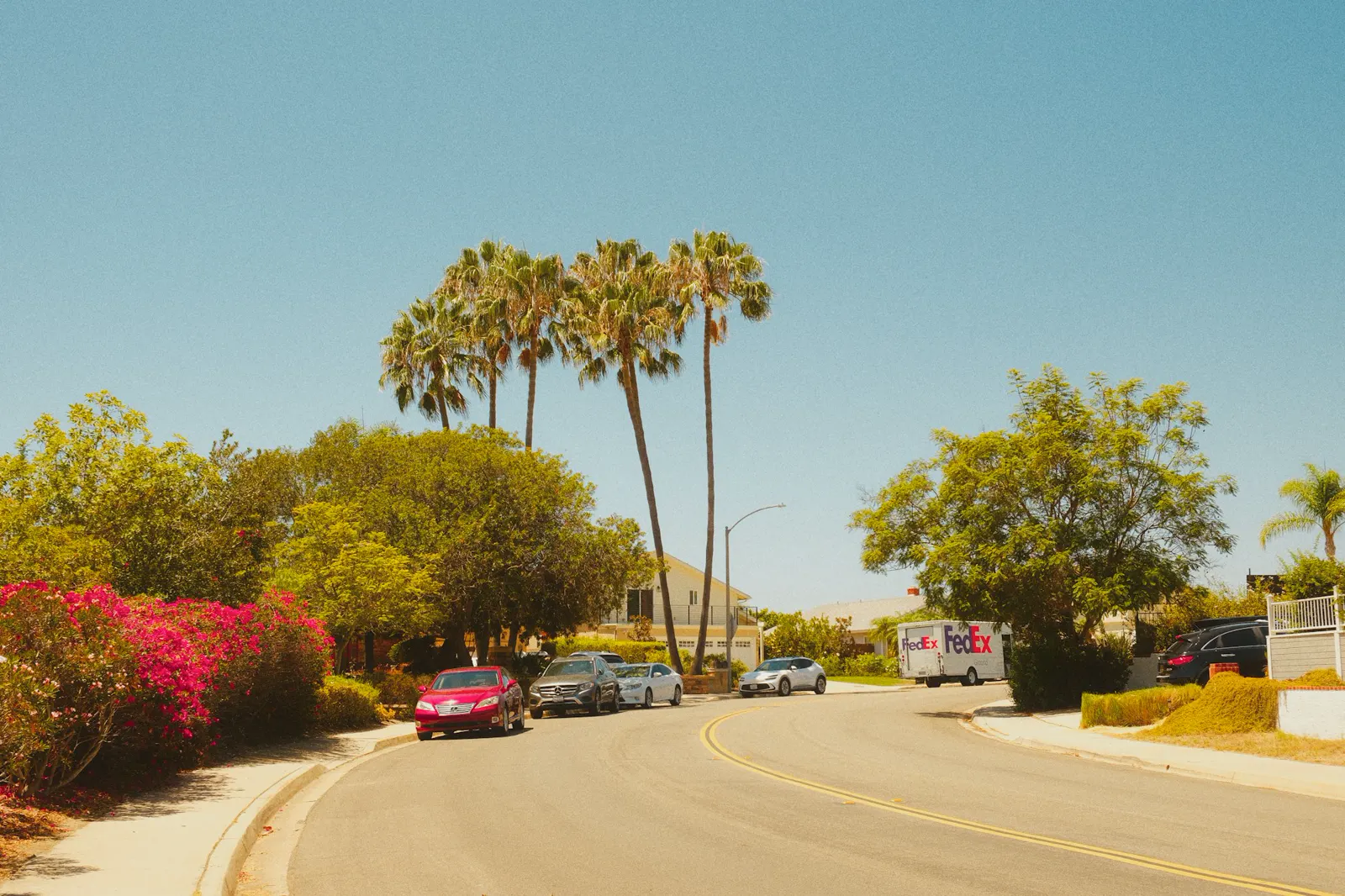 Palm trees line a sunny suburban street with parked cars