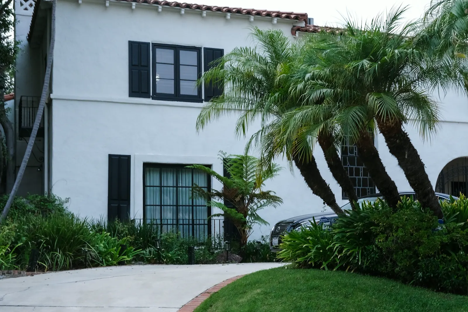 White stucco house with palm trees and lush greenery