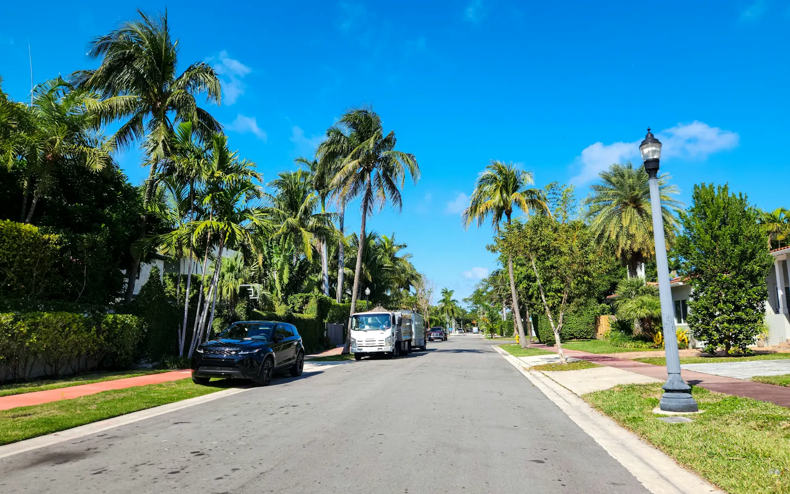 A street lined with palm trees and parked cars