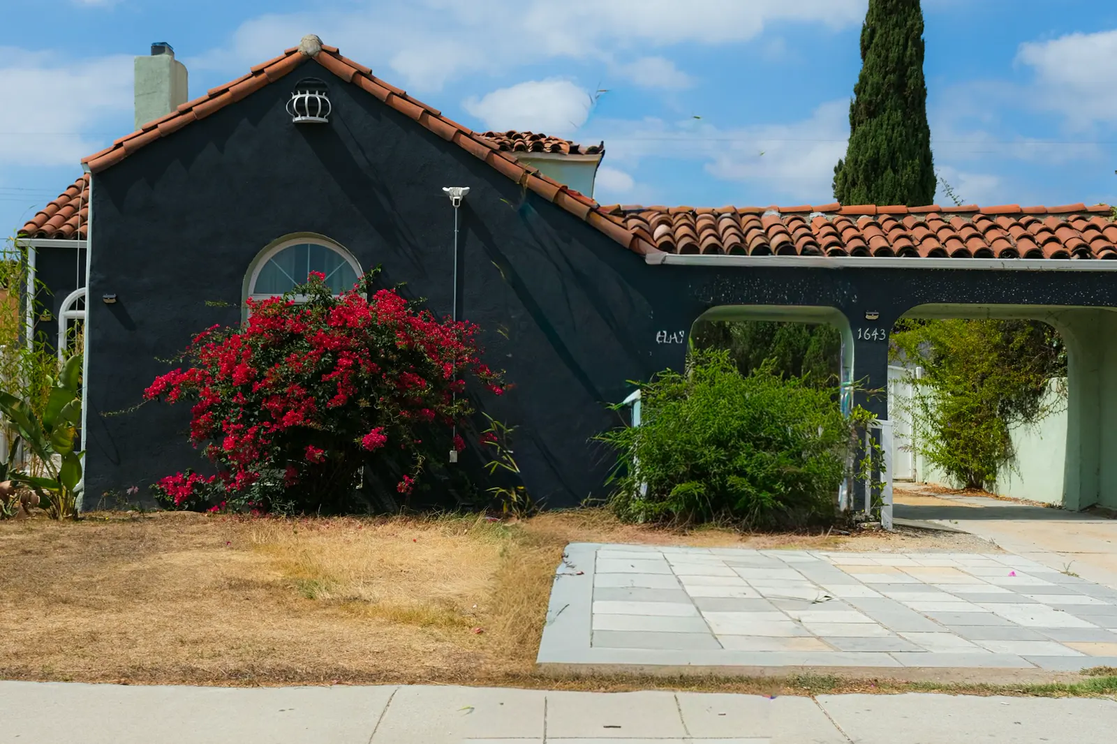 Dark house with red flowers and a carport