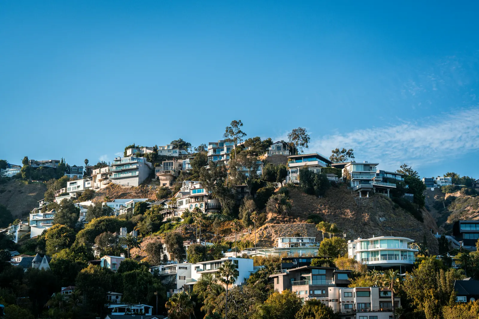 Modern houses built on a steep, tree-covered hillside
