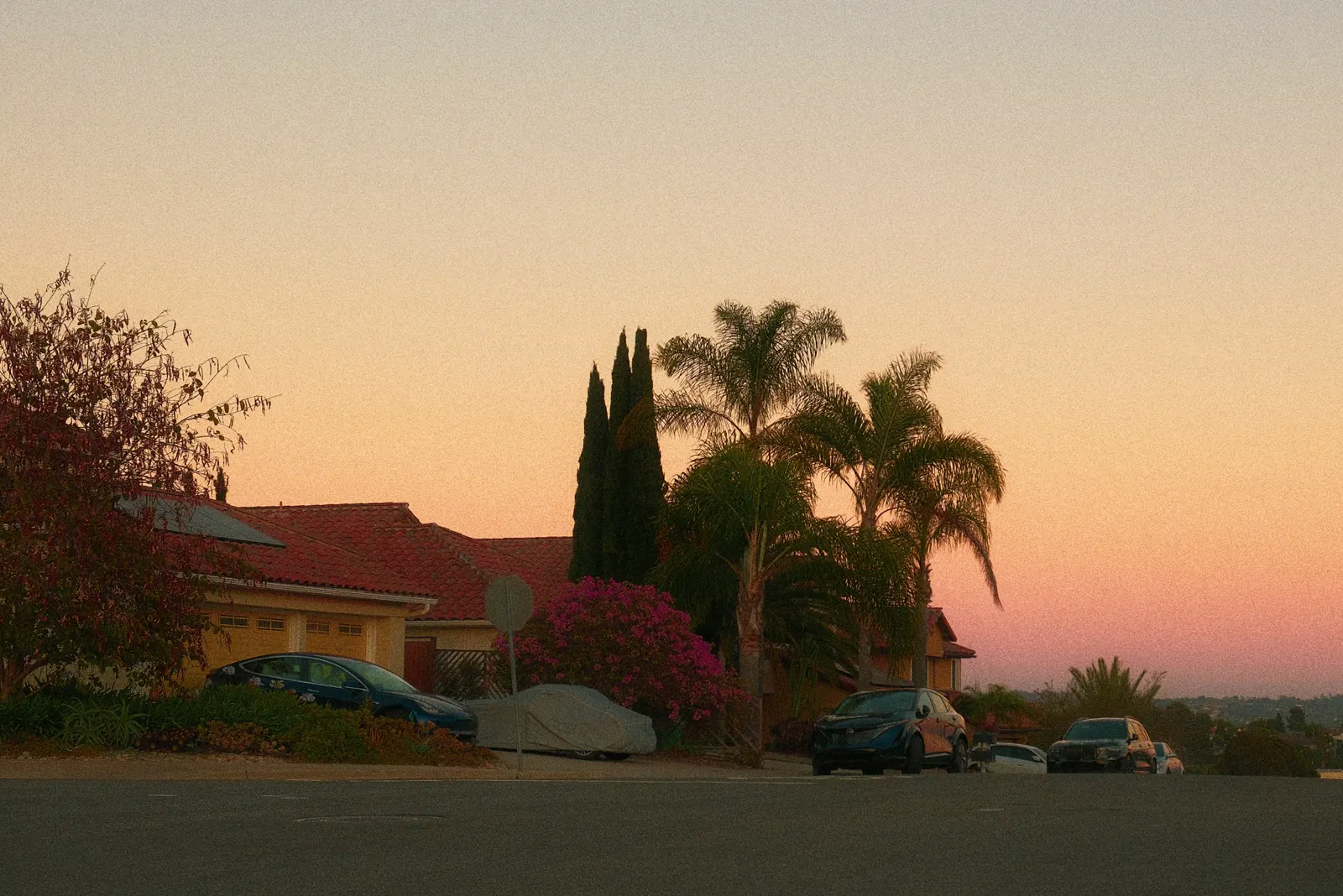 Residential street with houses and palm trees at sunset