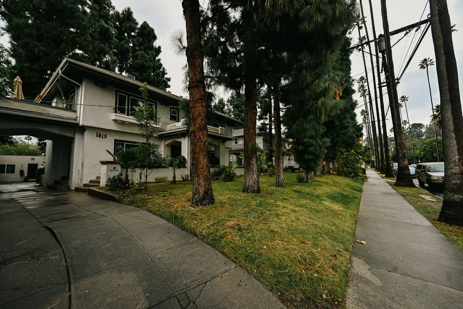 A house with trees and a car parked in front of it