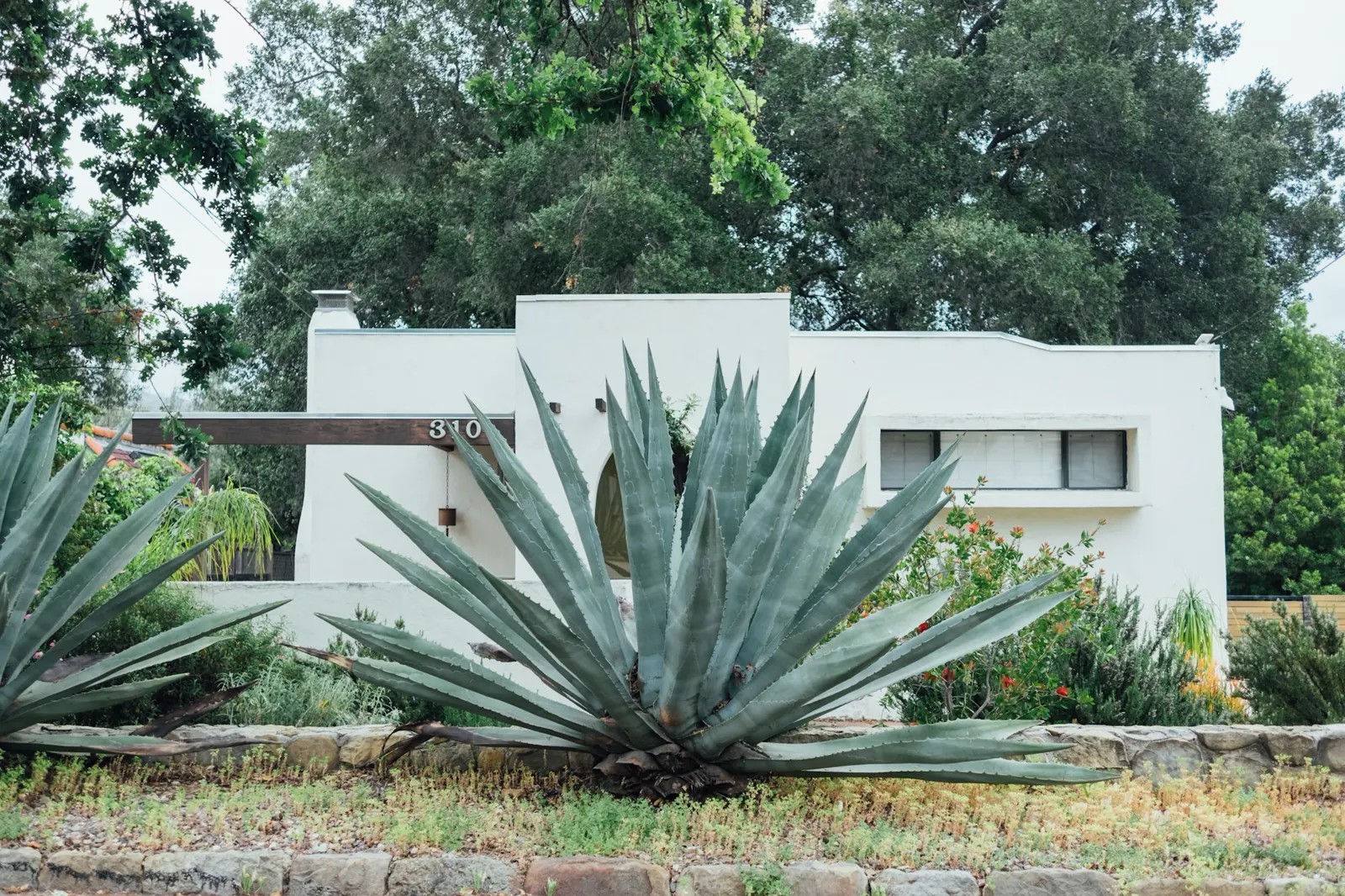 Green leafed plants beside white concrete house