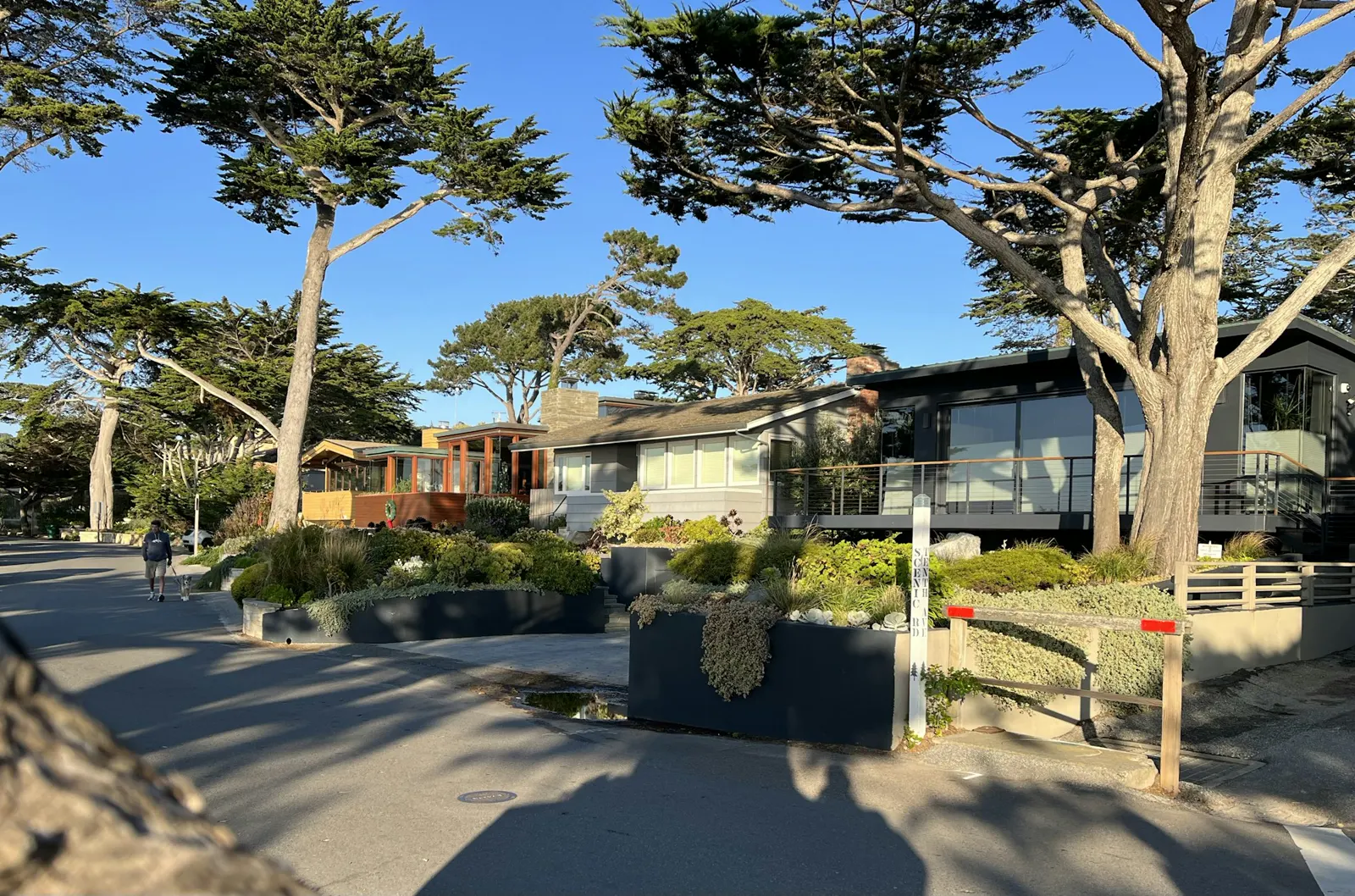 A row of houses sitting next to each other on a street