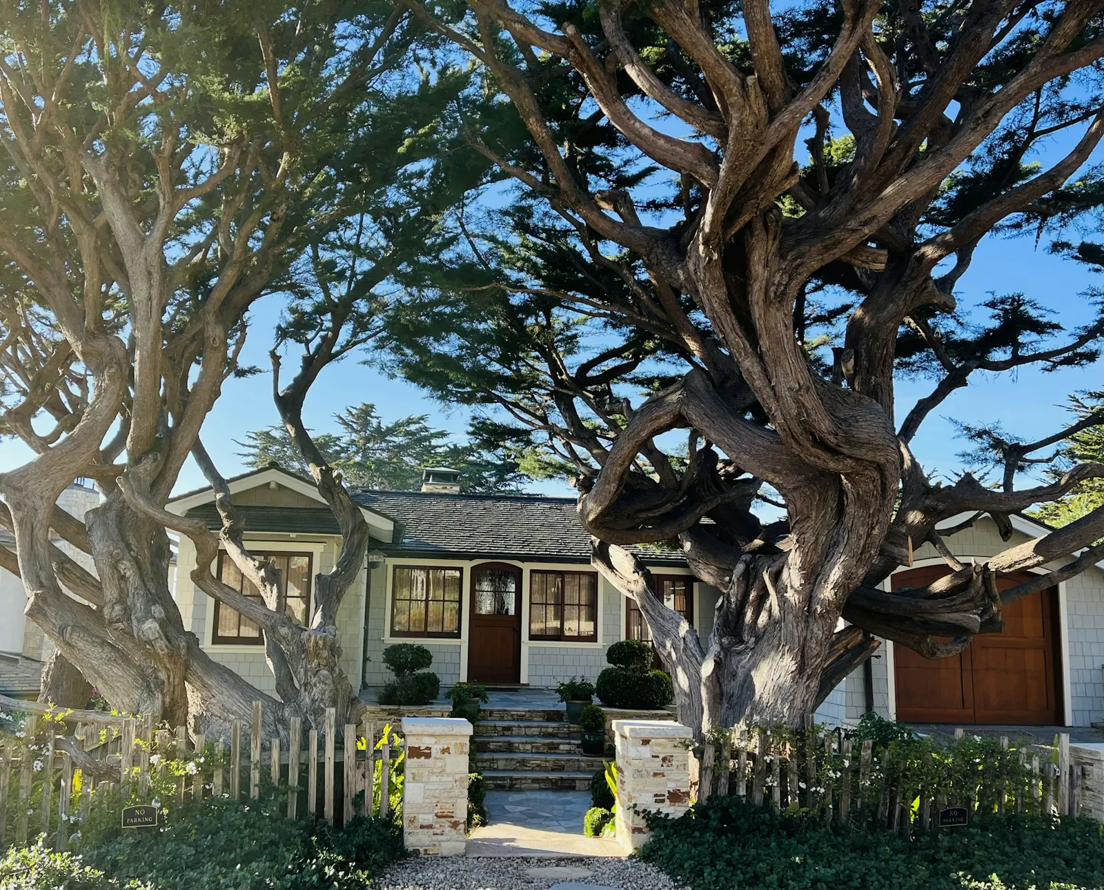 A home framed by cypress trees