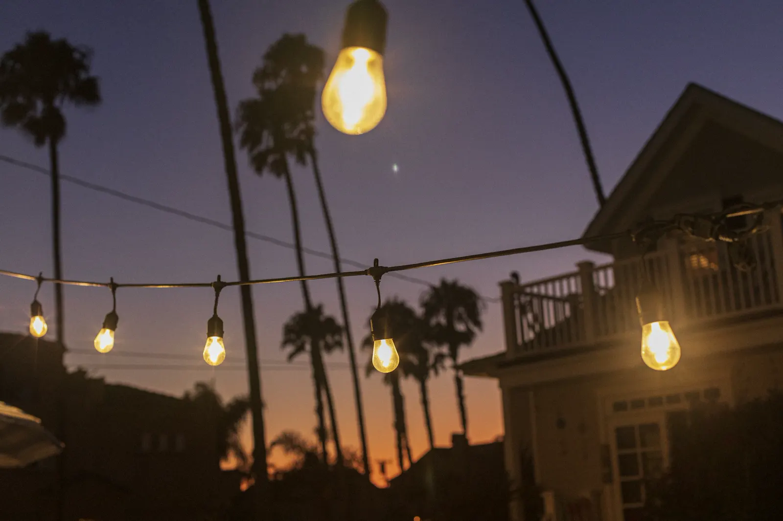 String lights and palm trees at sunset