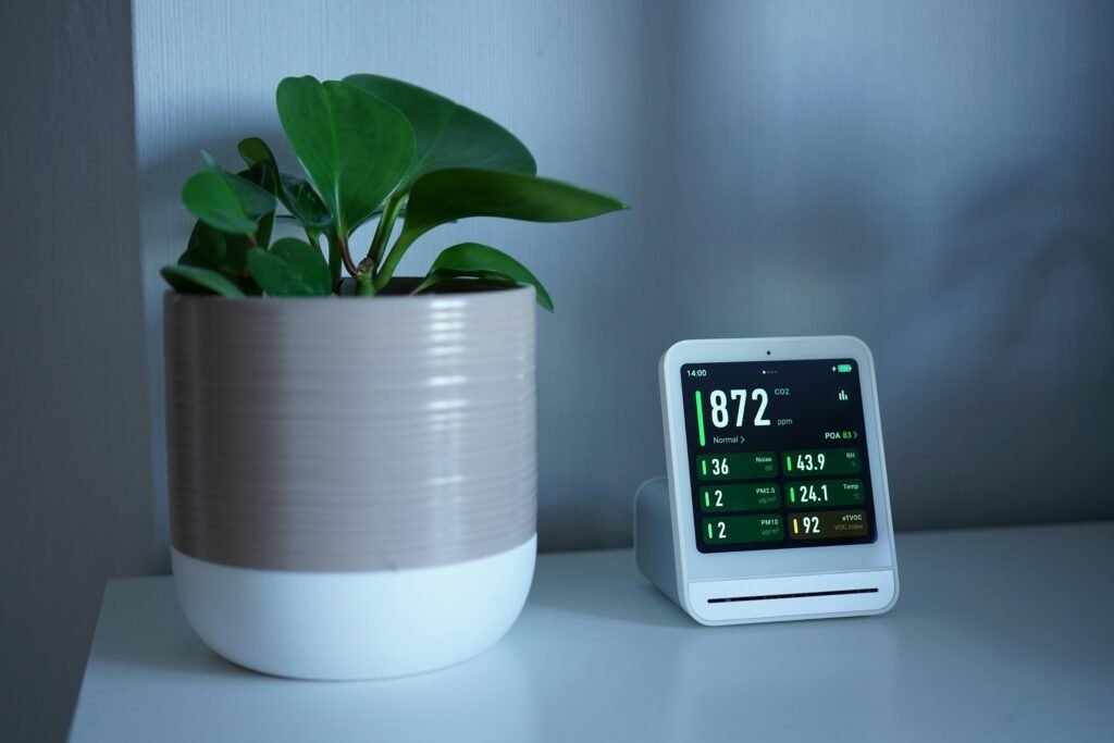 Indoor Plant and Air Quality Monitor on Table